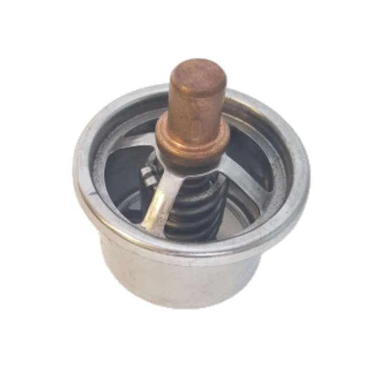 Cummins 855 Thermostat : 3076489 | 181830