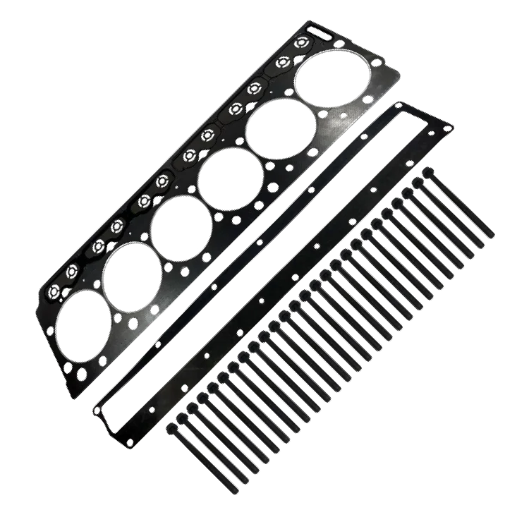 Intl Navistar MaxxForce DT Cylinder Head Gasket 2008-2010: OE